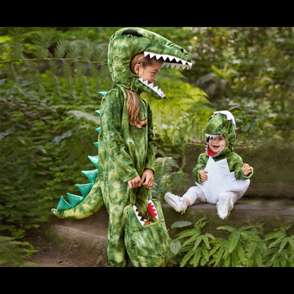 Pottery Barn Kids Light-Up T-Rex Costume - Size 2T